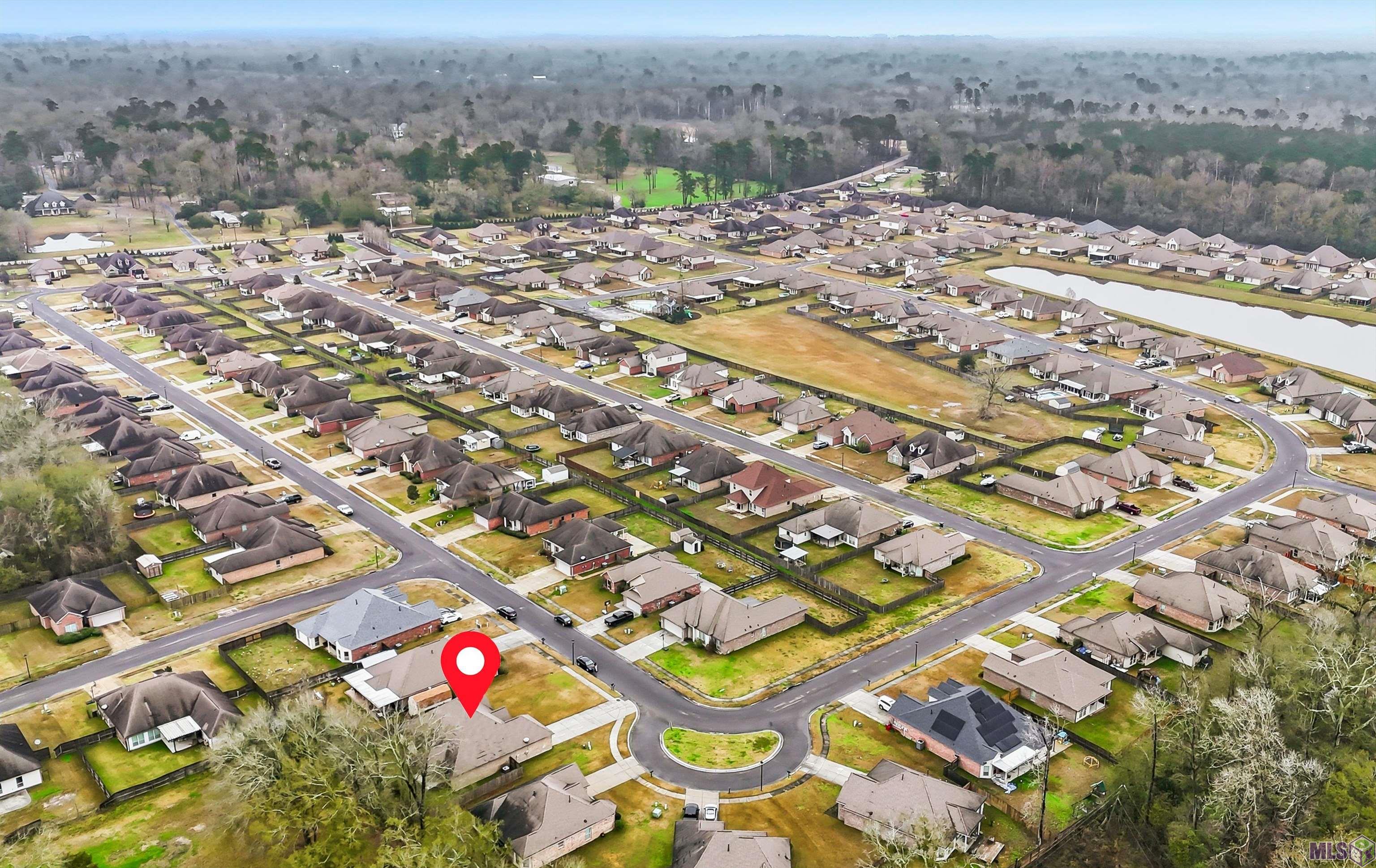 17553 Hoods Ridge Drive Prairieville, LA 70769 - Photo 30 of 30