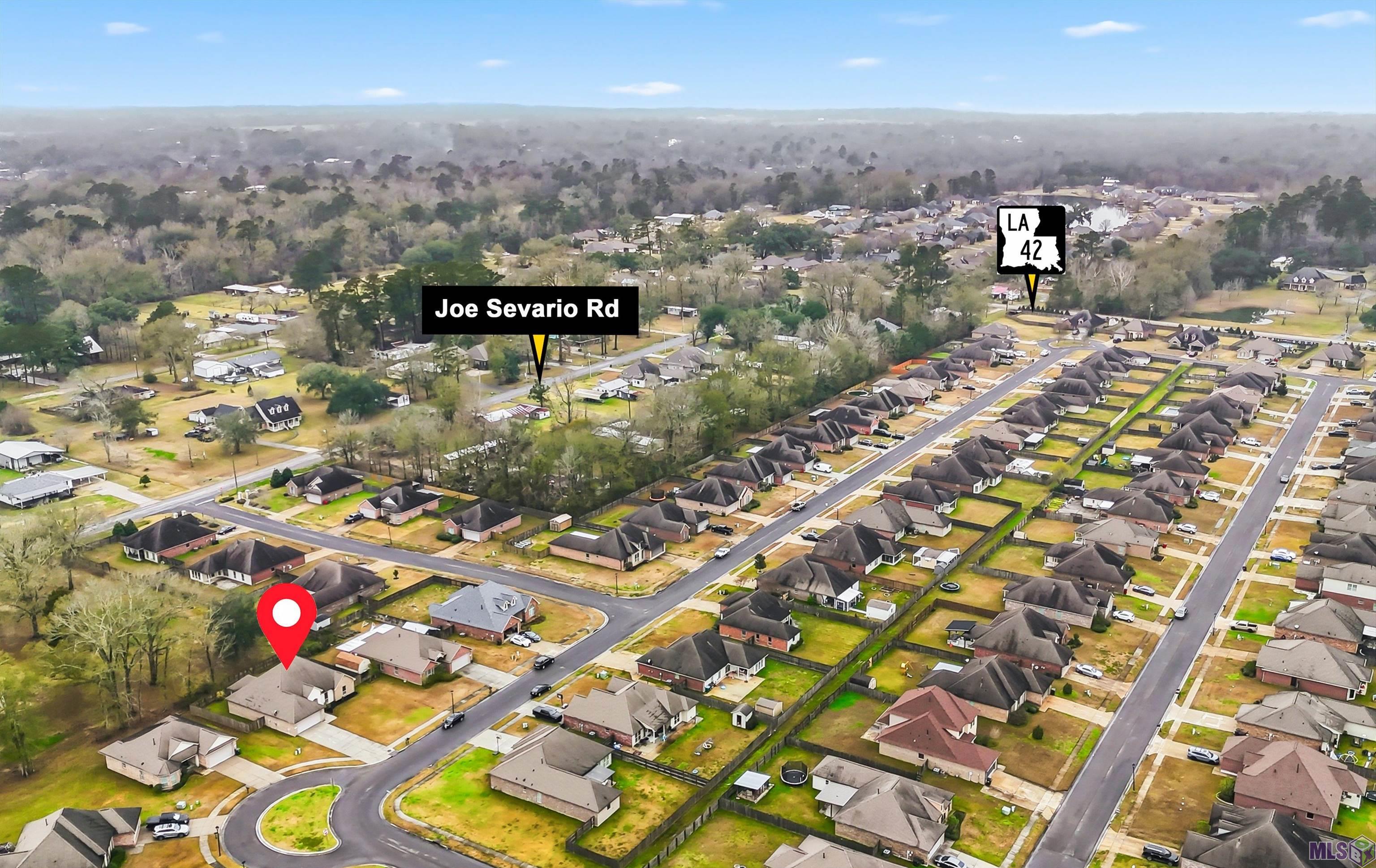 17553 Hoods Ridge Drive Prairieville, LA 70769 - Photo 4 of 29