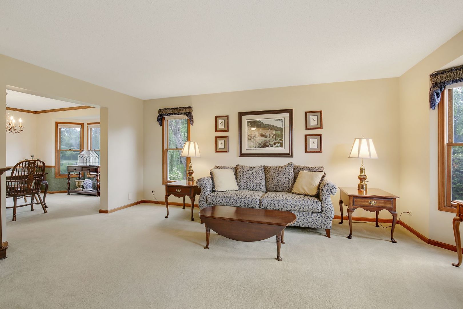 152 Wilcox Drive Bartlett, IL 60103 - Photo 6 of 51 a living room with furniture and a table with potted plants