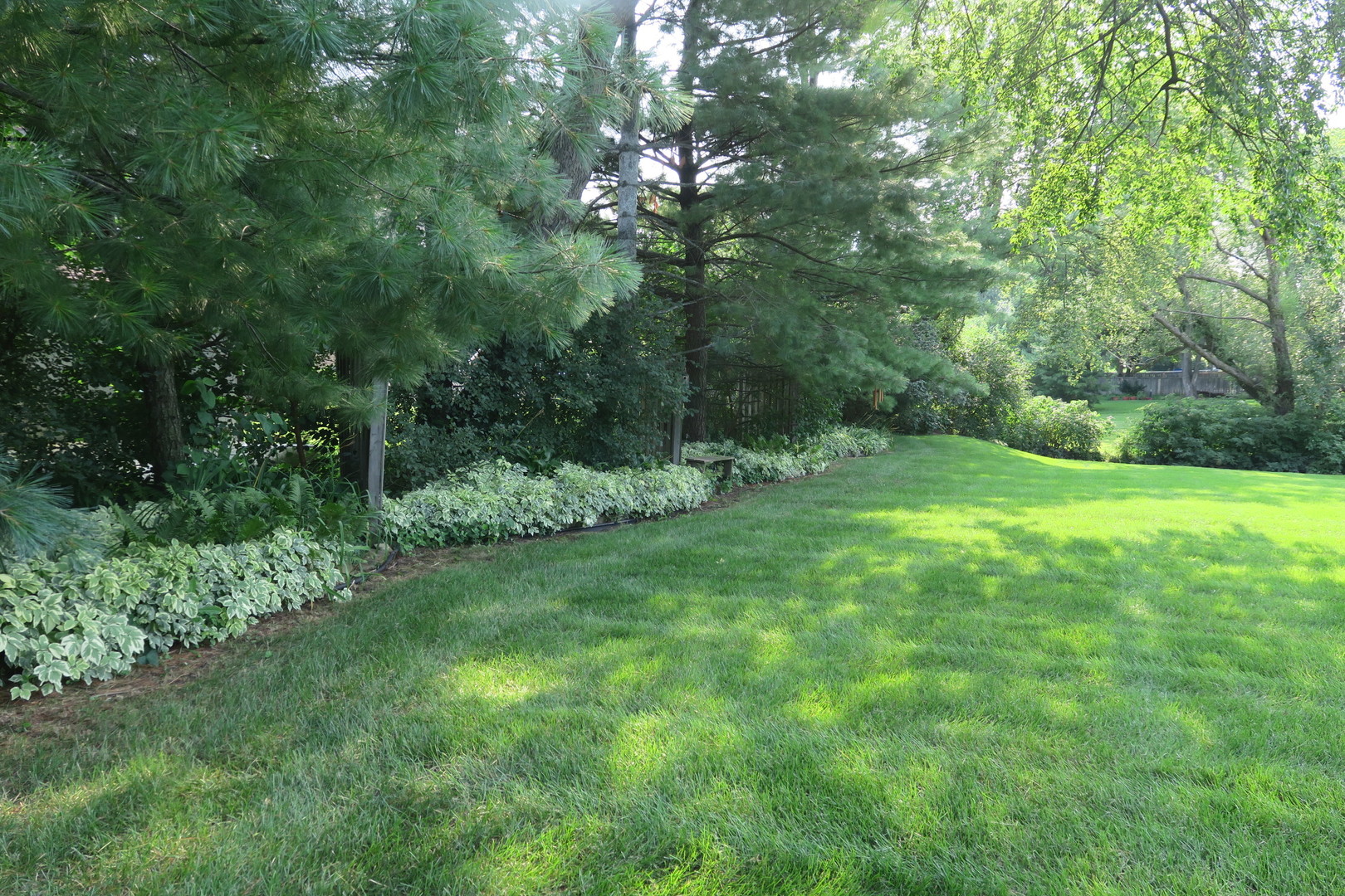152 Wilcox Drive Bartlett, IL 60103 - Photo 51 of 51 a view of a garden with a tree