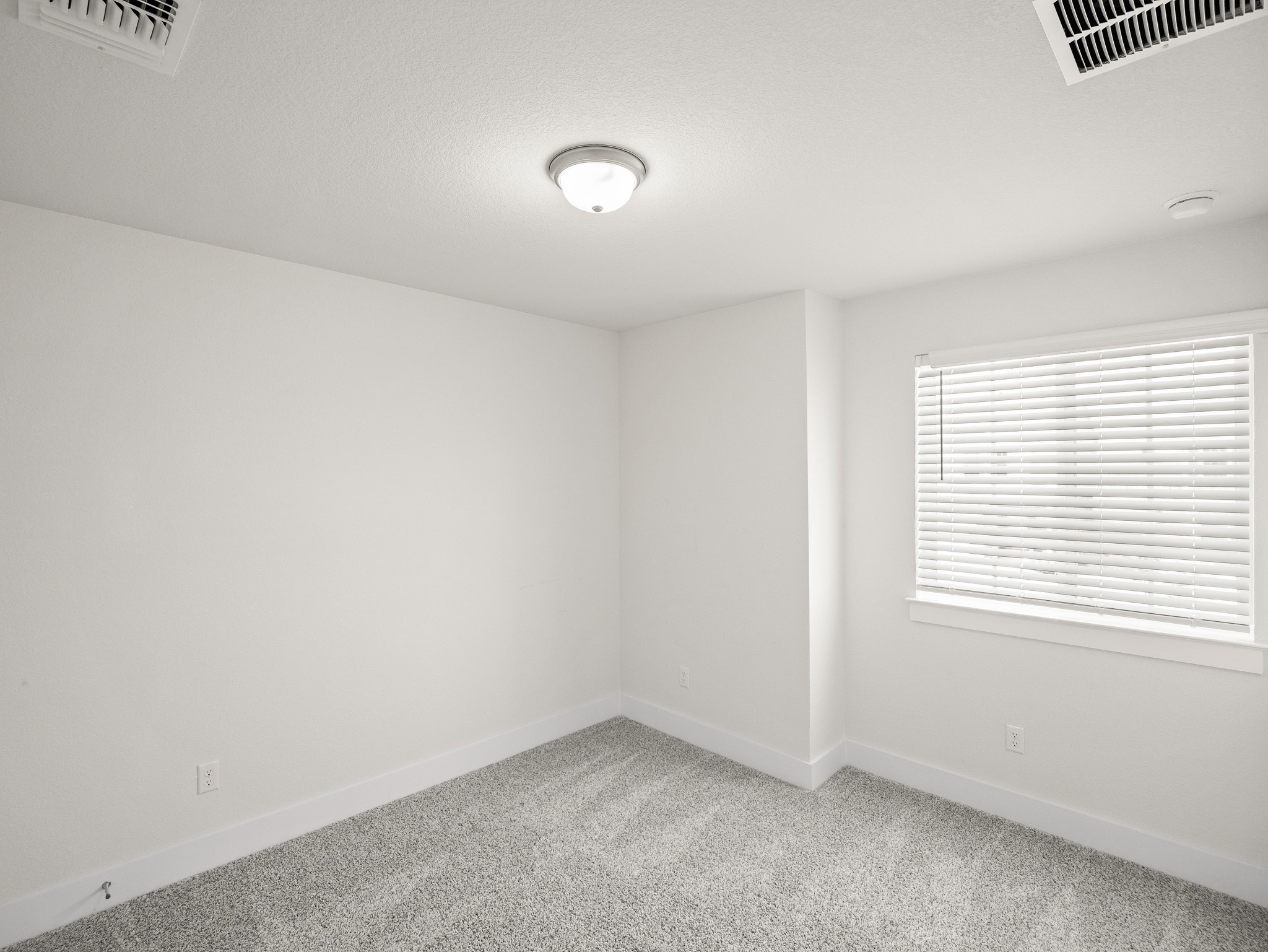 145 Yearling Way Georgetown, TX 78626 - Photo 23 of 25