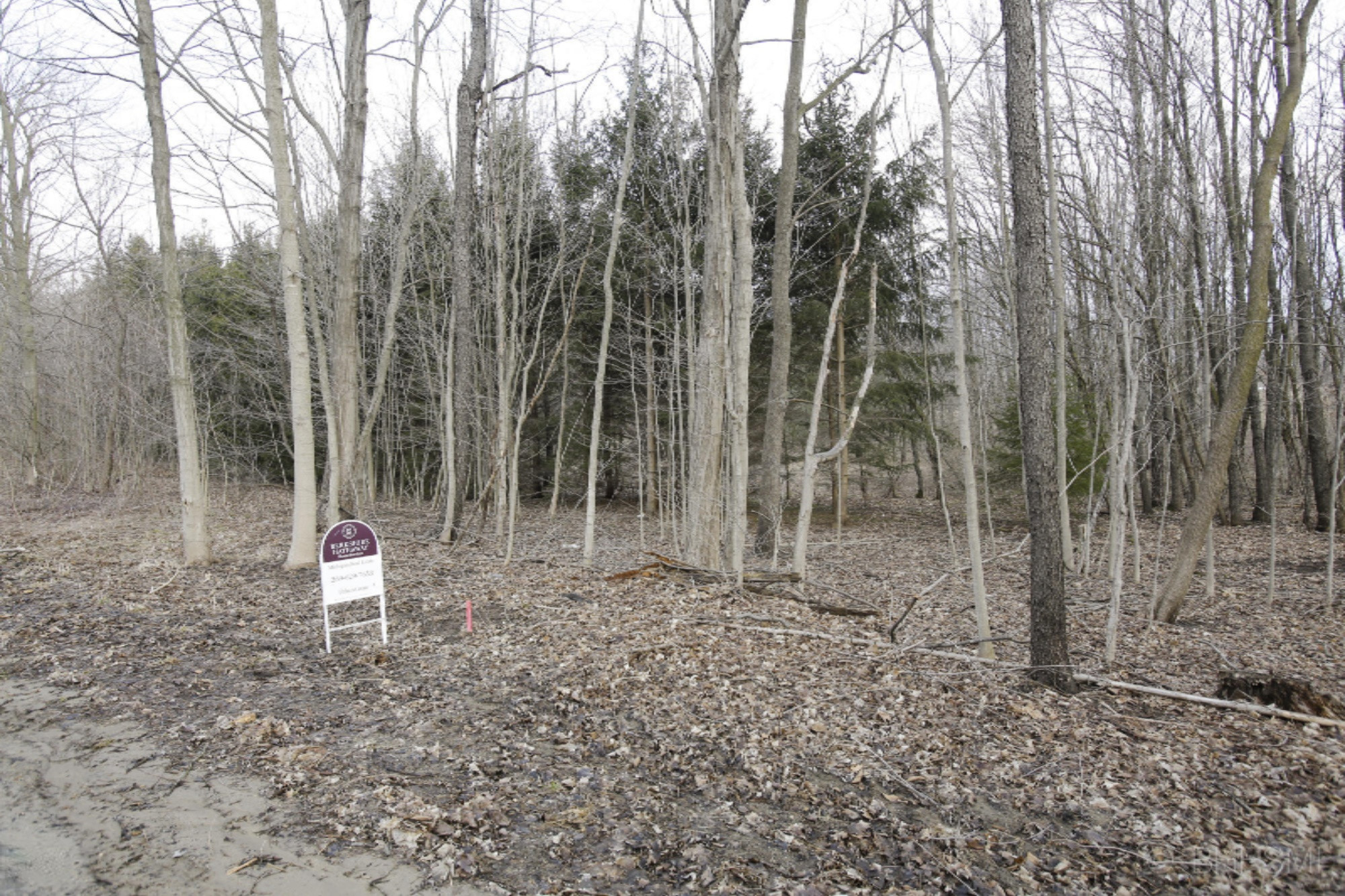 Lang Road Hickory Corners, MI 49060 - Photo 4 of 5 _I6A3392
