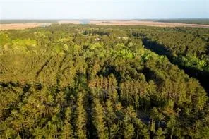 $17,500 | Lot 4 Waverly Lane, White Oak, GA 31568