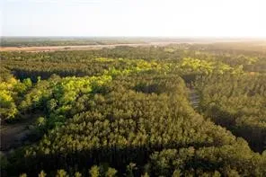 $17,500 | Lot 4 Waverly Lane, White Oak, GA 31568