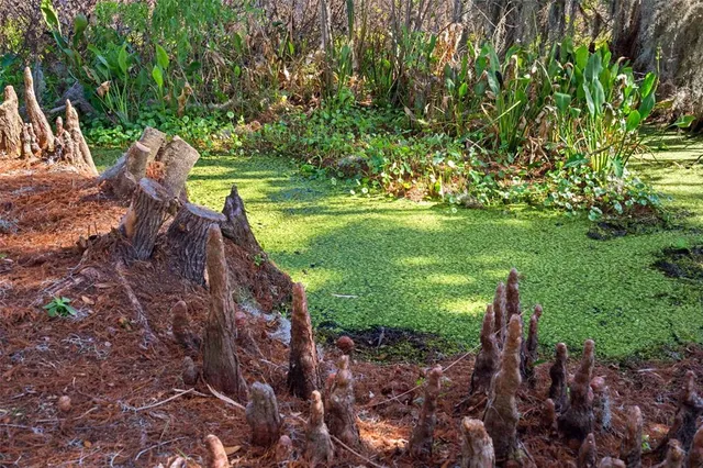 $1,100,000 | 4300 Timberlane Road, Lake Wales, FL 33898