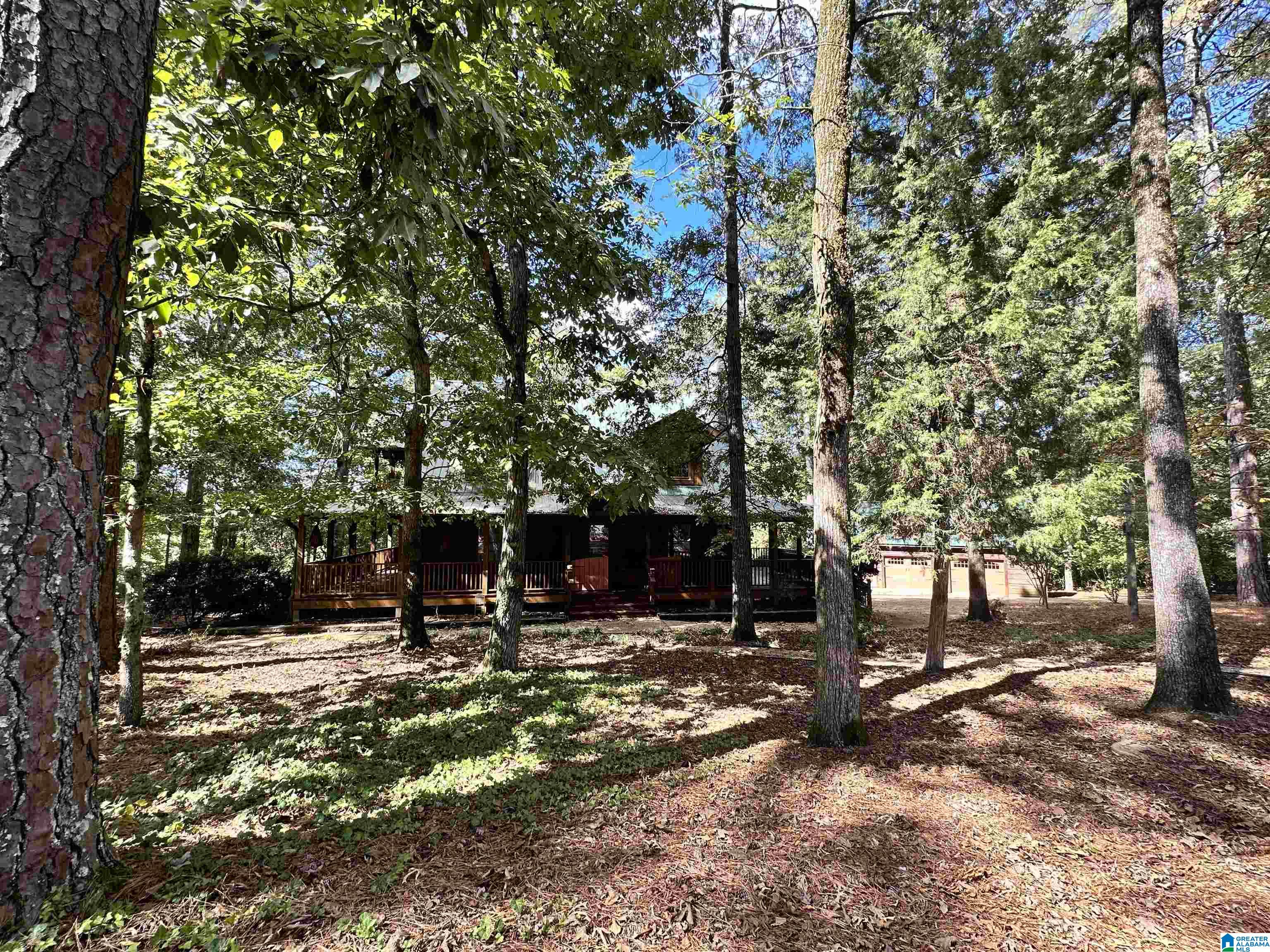 8 Seddon Point Pell City, AL 35128 - Photo 4 of 56