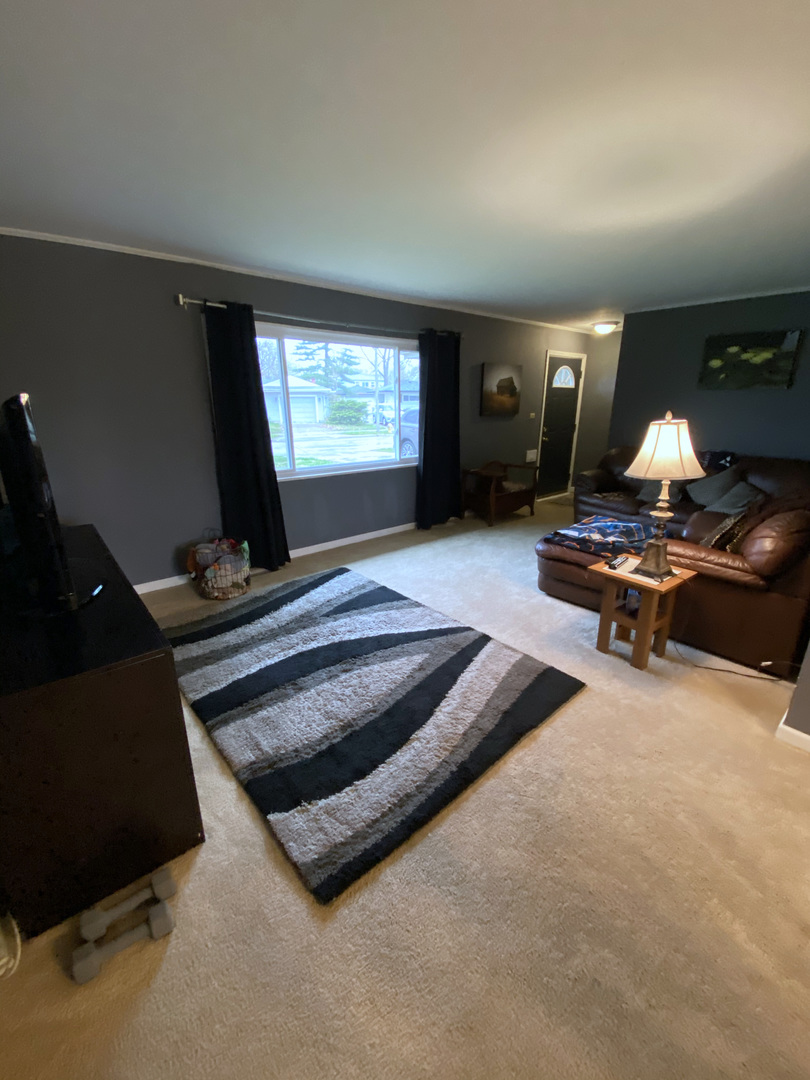 281 Rich Road Park Forest, IL 60466 - Photo 4 of 31