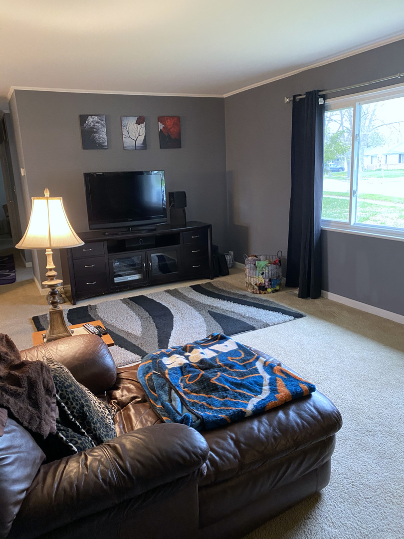 281 Rich Road Park Forest, IL 60466 - Photo 5 of 31