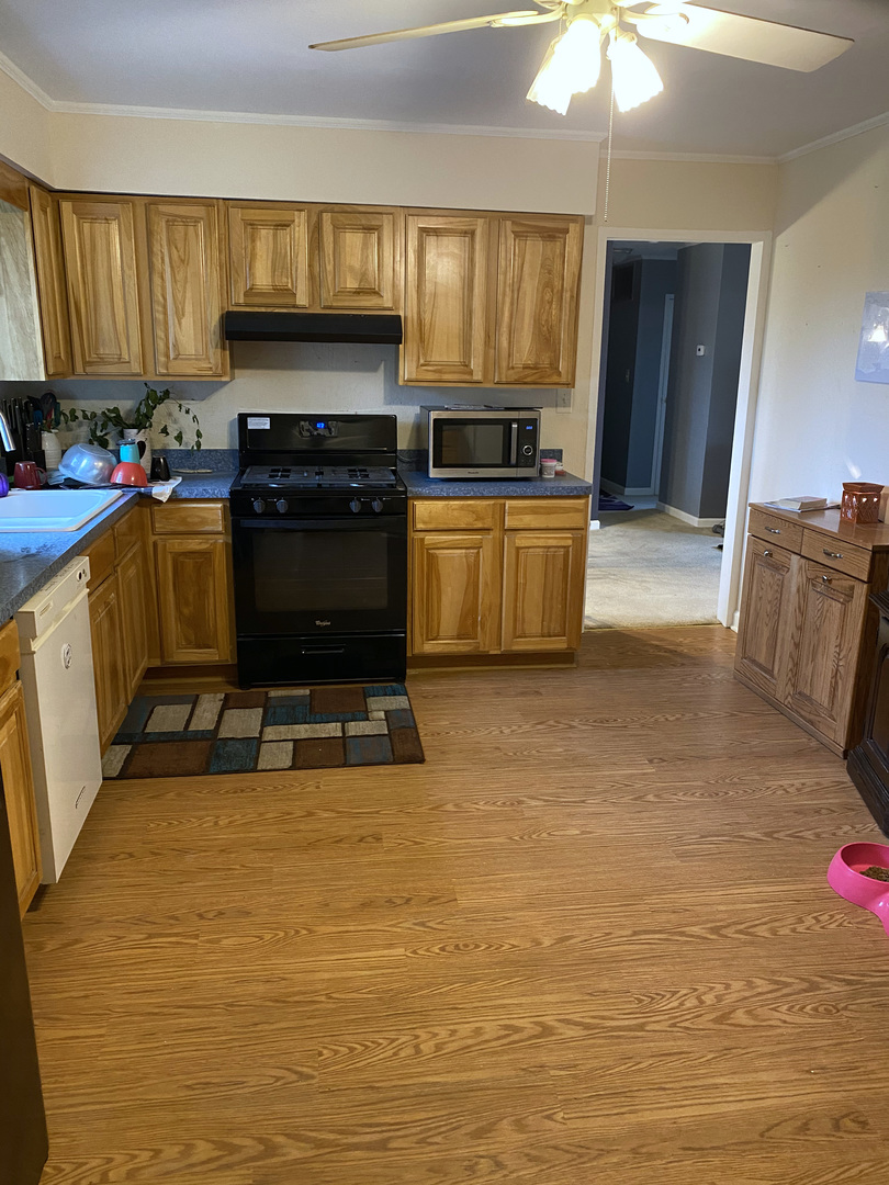 281 Rich Road Park Forest, IL 60466 - Photo 10 of 31