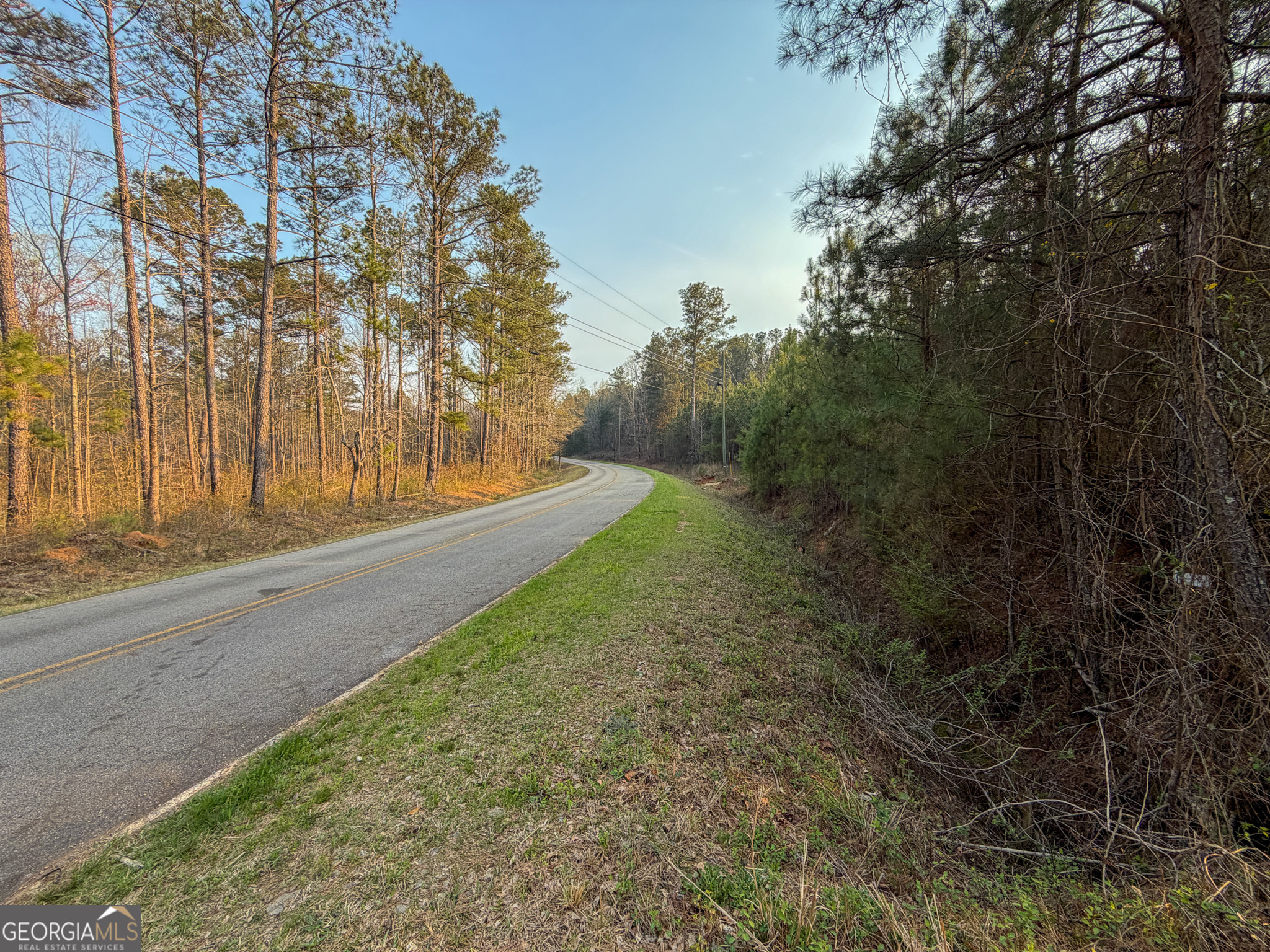 105 Acres On Mccosh Mill Road LaGrange, GA 30240 - Photo 20 of 25 a view of a yard with plants and trees