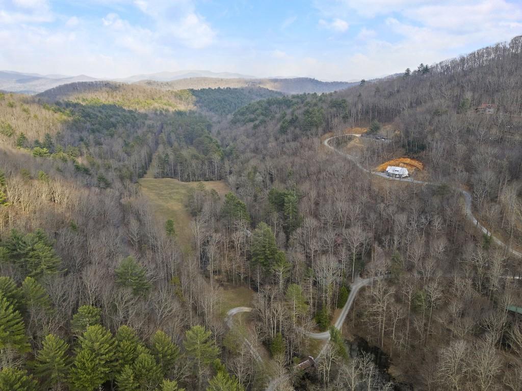 77 Old Covered Bridge Road Cherry Log, GA 30522 - Photo 2 of 40 a view of a mountain from a field