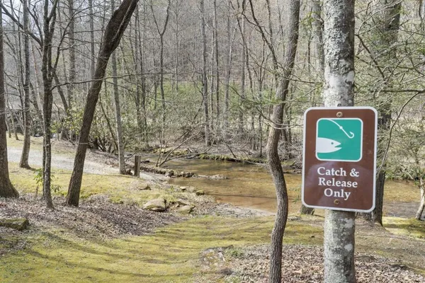 $875,000 | 77 Old Covered Bridge Road, Cherry Log, GA 30522