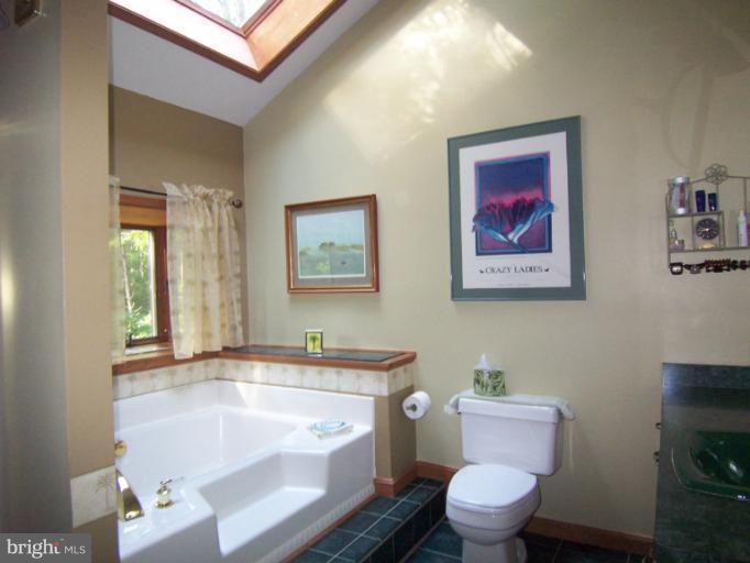 20854 Chestnut Ridge Drive Leonardtown, MD 20650 - Photo 12 of 21 Bath (Master)