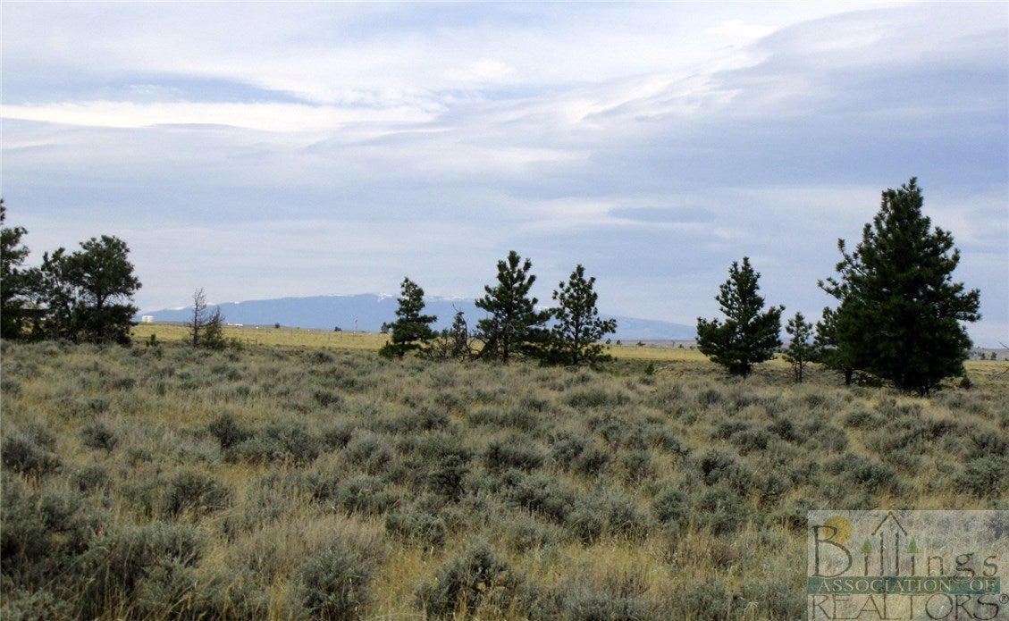 158 Snowflake Road Roundup, MT 59072 - Photo 1 of 1 Gallery Image 1