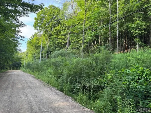 $50,000 | 9 Creek Ridge Road, Ellicottville, NY 14731