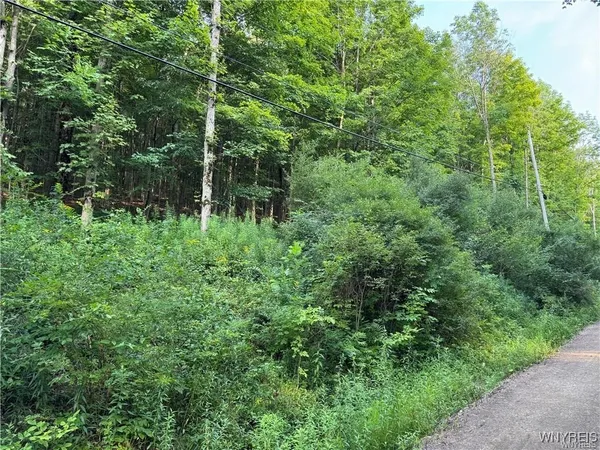 $50,000 | 9 Creek Ridge Road, Ellicottville, NY 14731