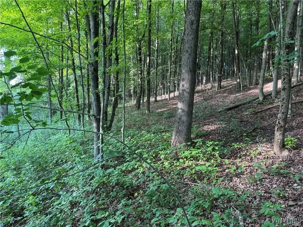 $50,000 | 9 Creek Ridge Road, Ellicottville, NY 14731