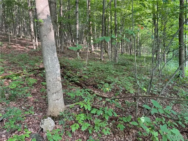 $50,000 | 9 Creek Ridge Road, Ellicottville, NY 14731