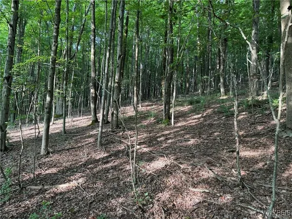 $50,000 | 9 Creek Ridge Road, Ellicottville, NY 14731