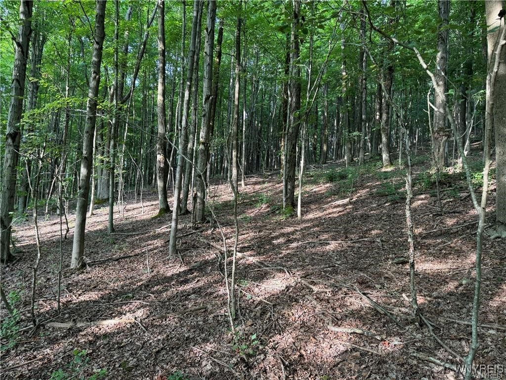 9 Creek Ridge Road Ellicottville, NY 14731 - Photo 16 of 24