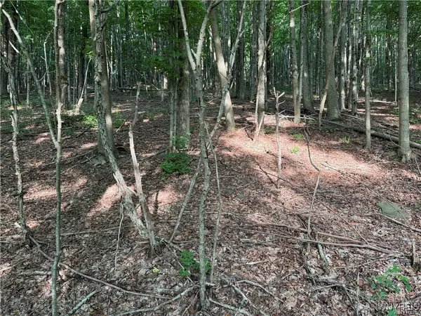 $50,000 | 9 Creek Ridge Road, Ellicottville, NY 14731