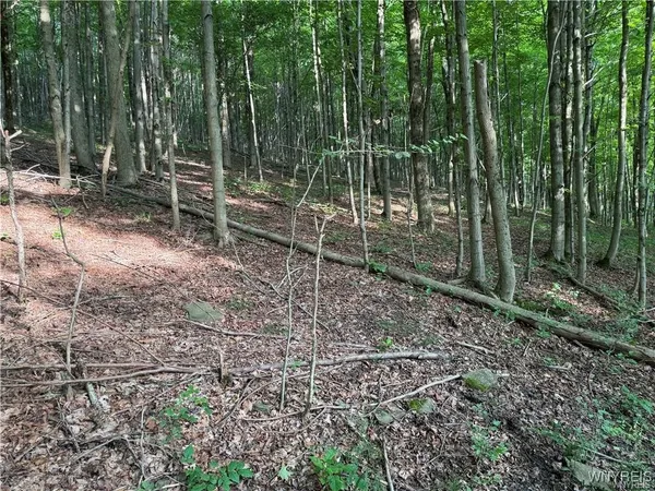 $50,000 | 9 Creek Ridge Road, Ellicottville, NY 14731