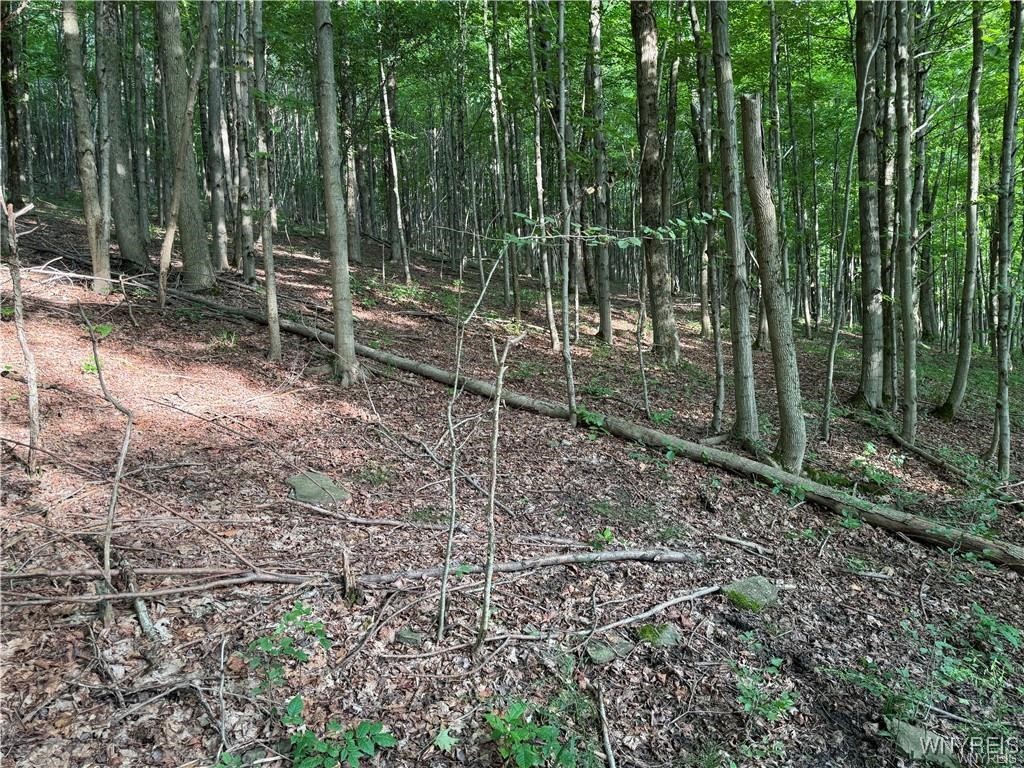 9 Creek Ridge Road Ellicottville, NY 14731 - Photo 18 of 24