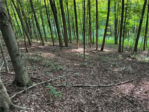 $50,000 | 9 Creek Ridge Road, Ellicottville, NY 14731