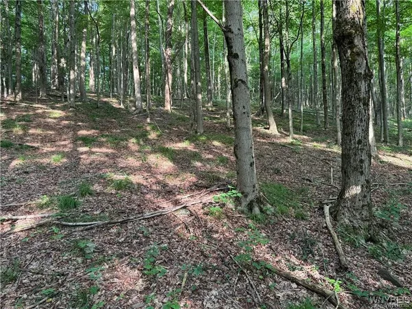 $50,000 | 9 Creek Ridge Road, Ellicottville, NY 14731