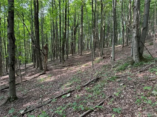 $50,000 | 9 Creek Ridge Road, Ellicottville, NY 14731