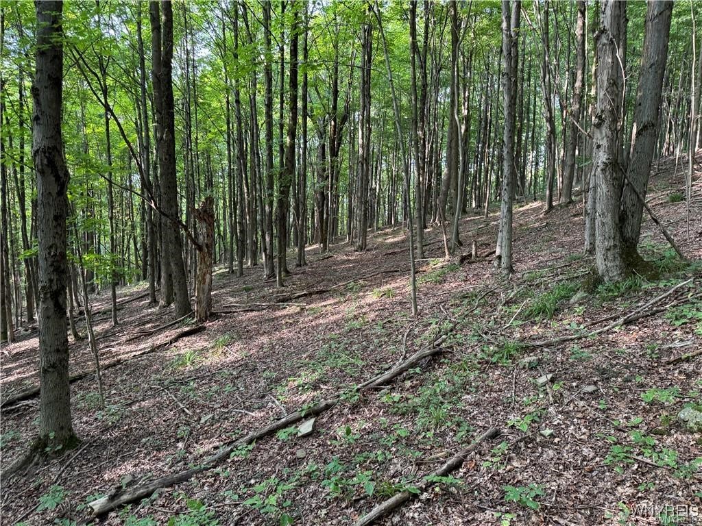 9 Creek Ridge Road Ellicottville, NY 14731 - Photo 21 of 24
