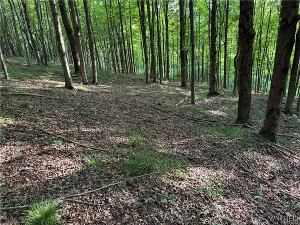 $50,000 | 9 Creek Ridge Road, Ellicottville, NY 14731