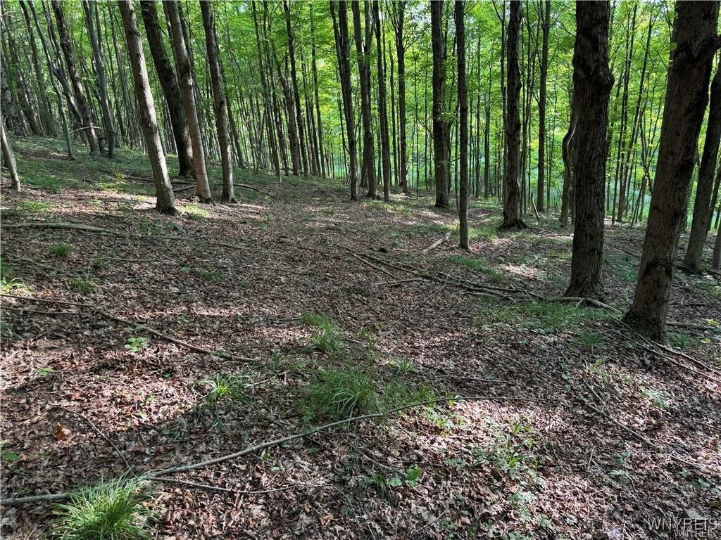 9 Creek Ridge Road Ellicottville, NY 14731 - Photo 22 of 24