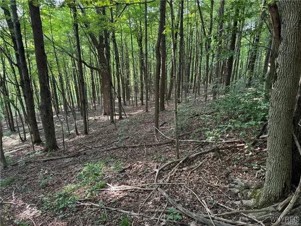 $50,000 | 9 Creek Ridge Road, Ellicottville, NY 14731