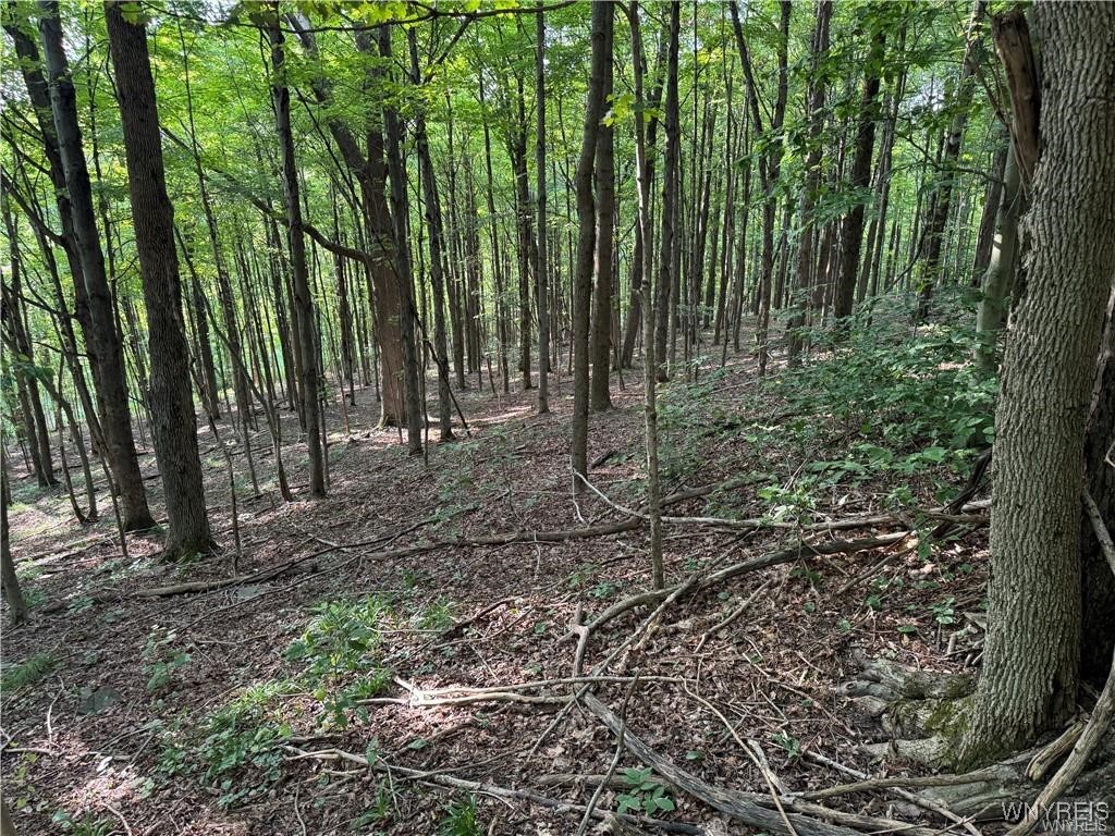 9 Creek Ridge Road Ellicottville, NY 14731 - Photo 23 of 24