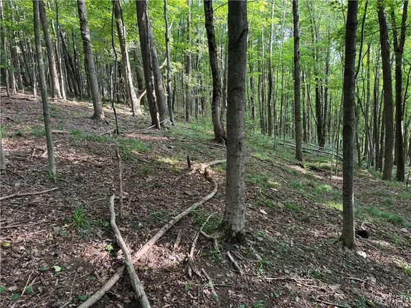 $50,000 | 9 Creek Ridge Road, Ellicottville, NY 14731