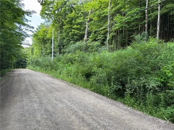 $50,000 | 9 Creek Ridge Road, Ellicottville, NY 14731