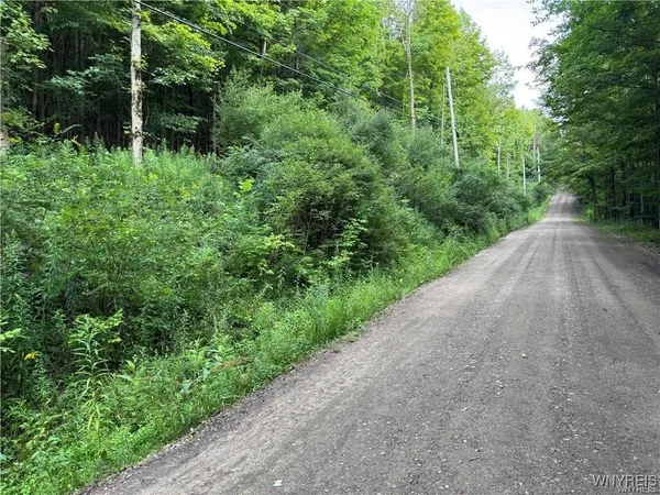 $50,000 | 9 Creek Ridge Road, Ellicottville, NY 14731