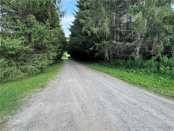 $50,000 | 9 Creek Ridge Road, Ellicottville, NY 14731