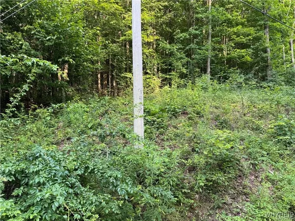 $50,000 | 9 Creek Ridge Road, Ellicottville, NY 14731