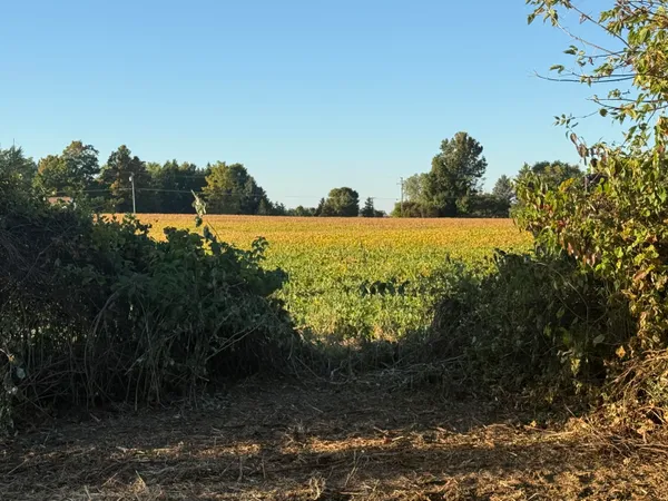 $169,000 | V L North V L N Mill Road North, Dryden, MI 48428