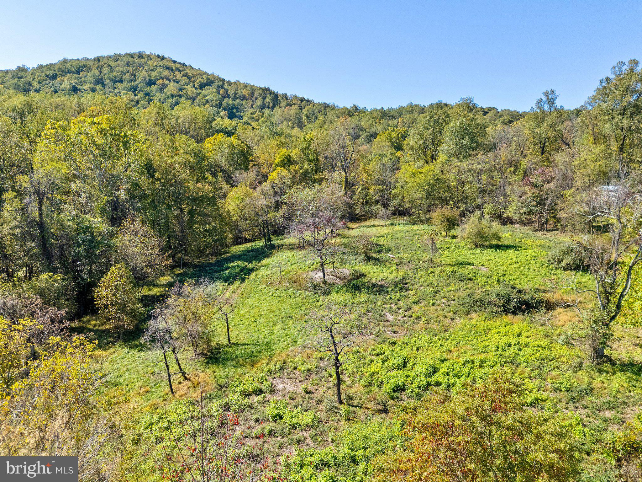 Rocky Lane Huntly, VA 22640 - Photo 12 of 18 a view of a yard with an trees
