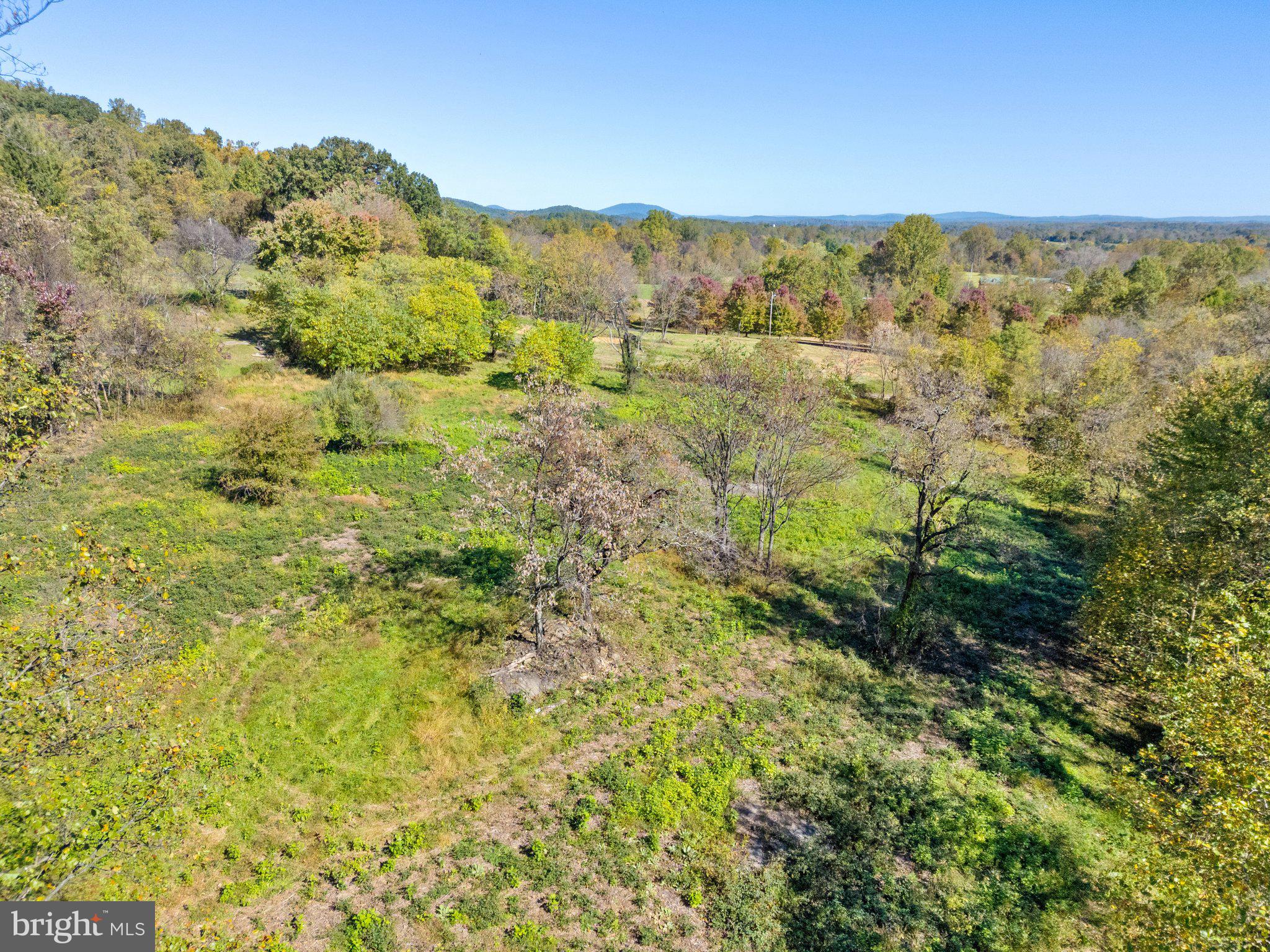 Rocky Lane Huntly, VA 22640 - Photo 15 of 18 a view of a forest with trees in the background