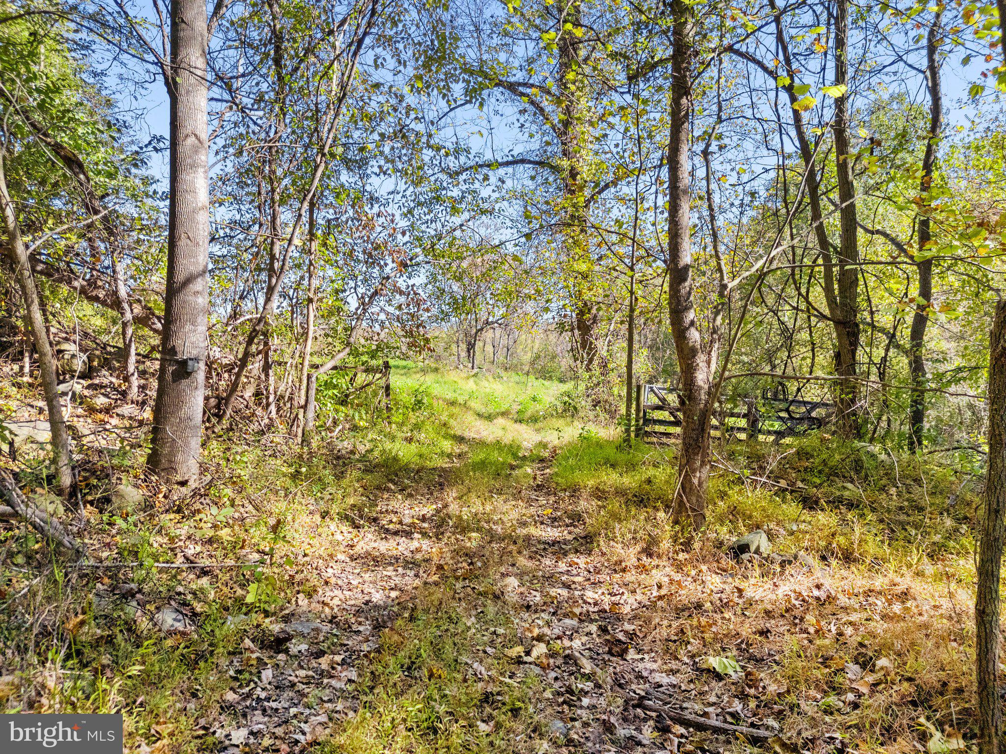 Rocky Lane Huntly, VA 22640 - Photo 4 of 18 a view of under construction area