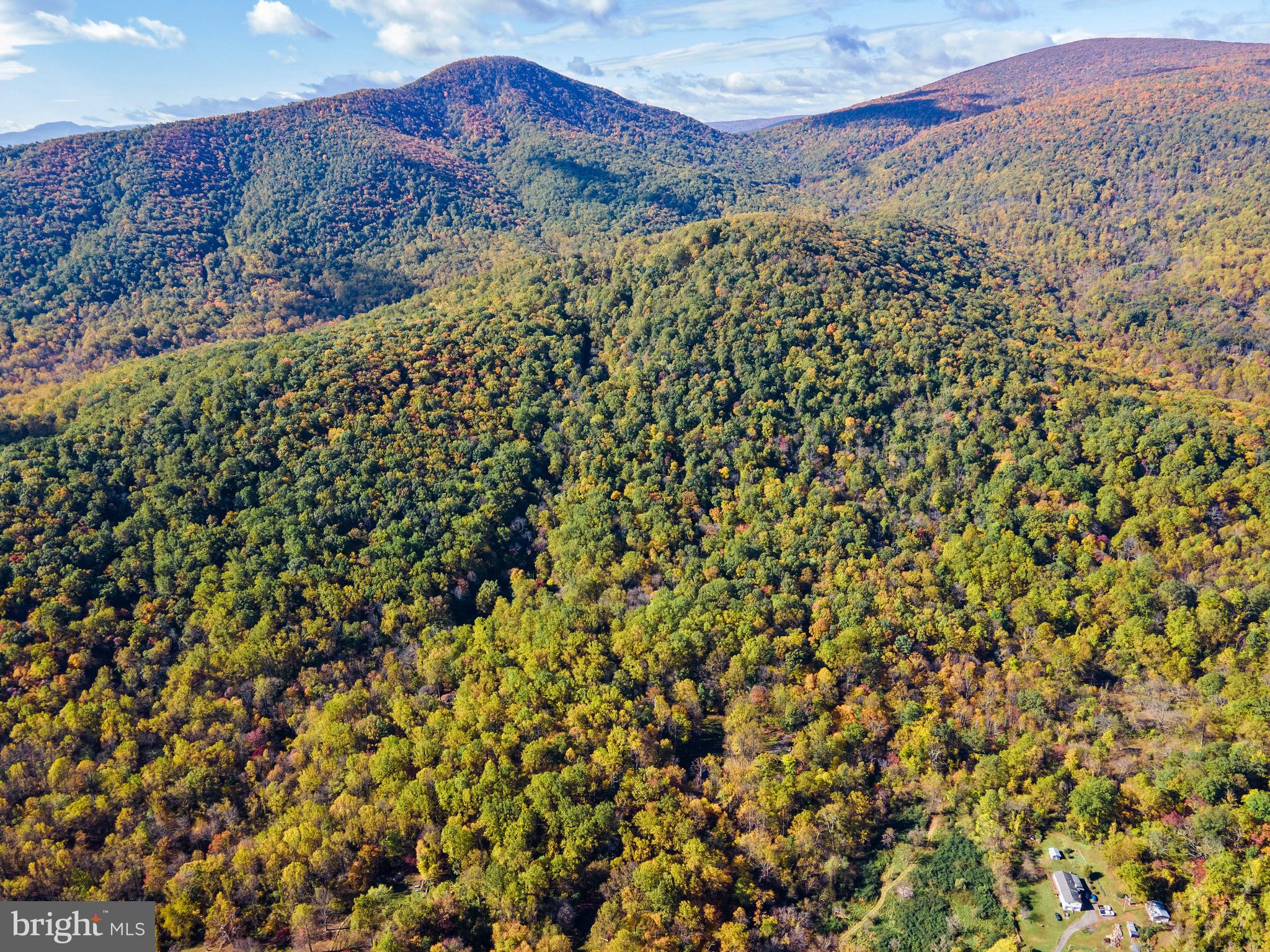 Rocky Lane Huntly, VA 22640 - Photo 5 of 18 a view of a large tree