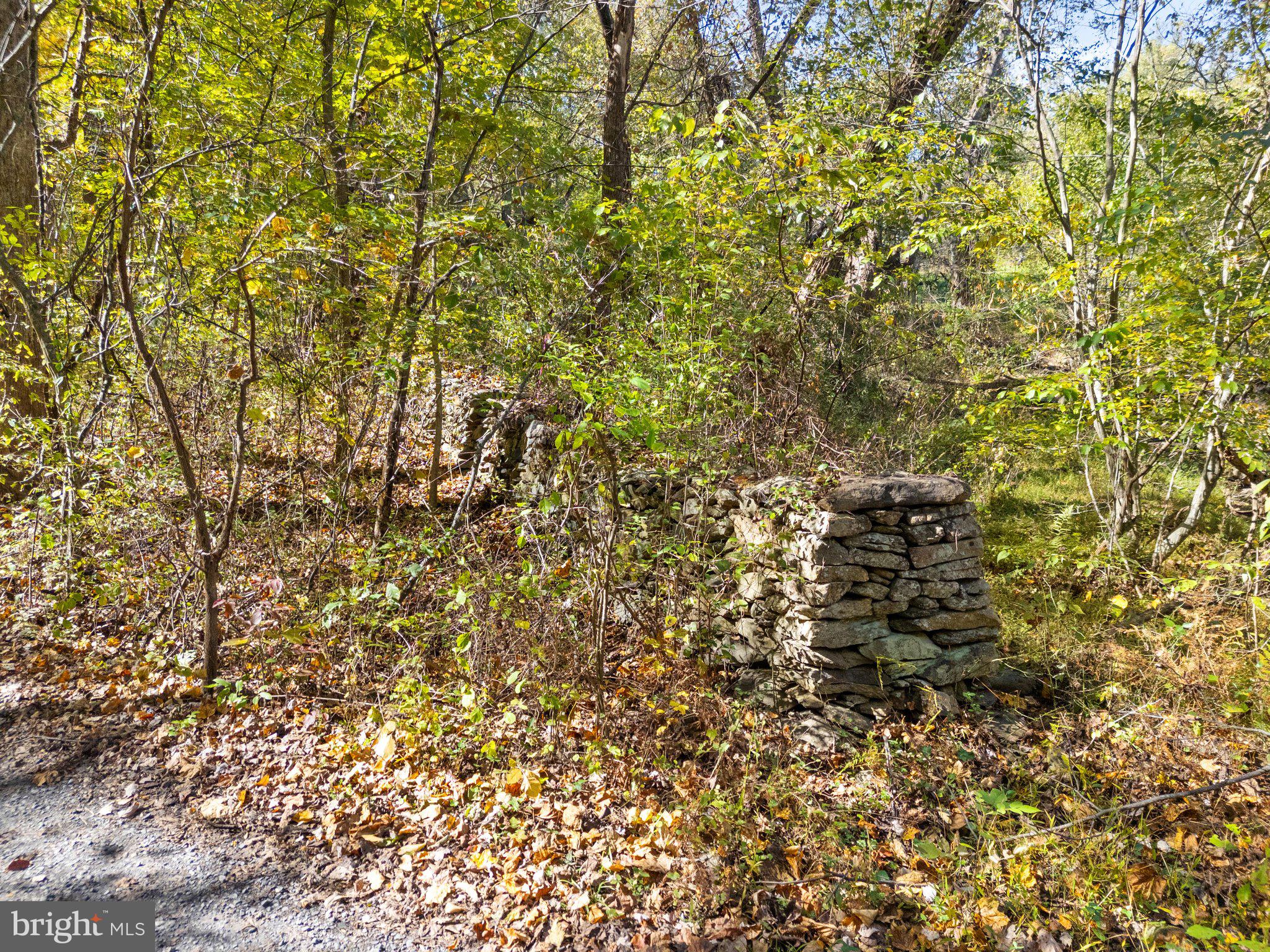 Rocky Lane Huntly, VA 22640 - Photo 6 of 18 a view of a tree with a tree