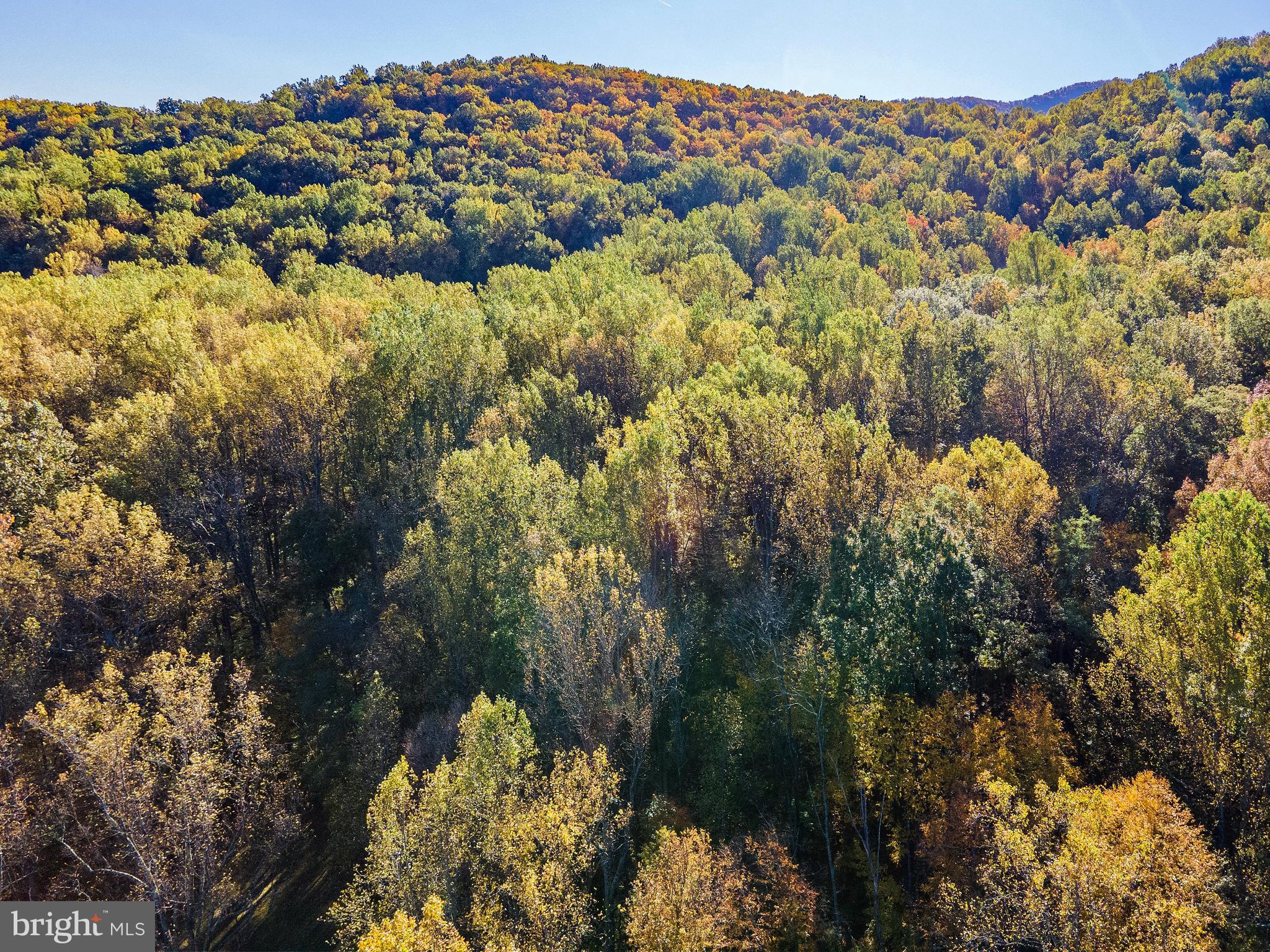 Rocky Lane Huntly, VA 22640 - Photo 8 of 18 a view of a large building