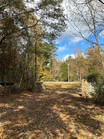 a view of a yard with a tree