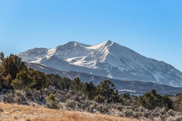 a view of a large building with a mountain in the background