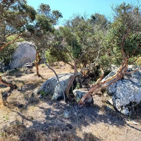 $1,400,000 | 27623 Cougar Pass Road, Escondido, CA 92026